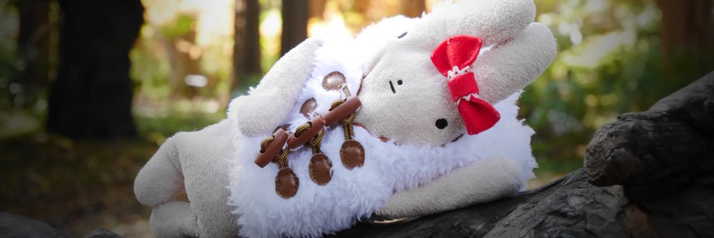 fmfnsn55's profile banner image