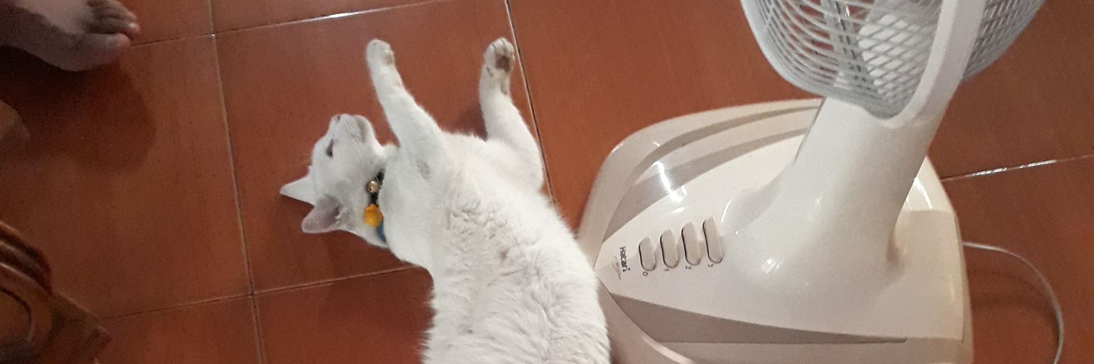 jason john newman banner