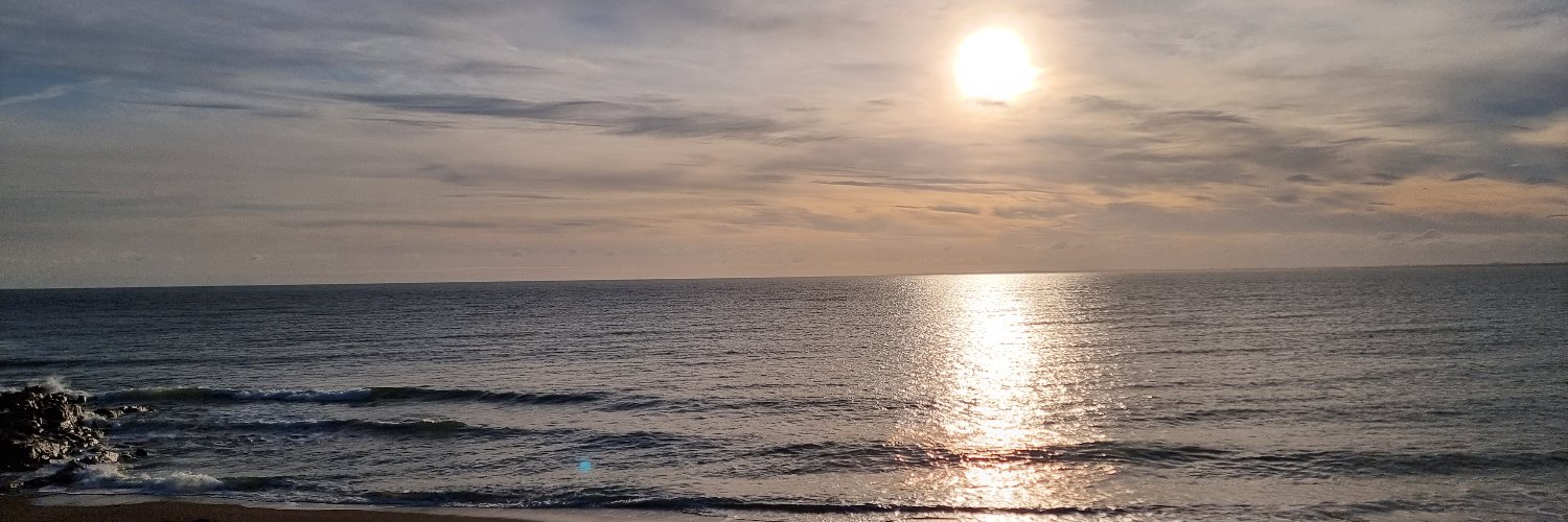 simonajoyce's profile banner image