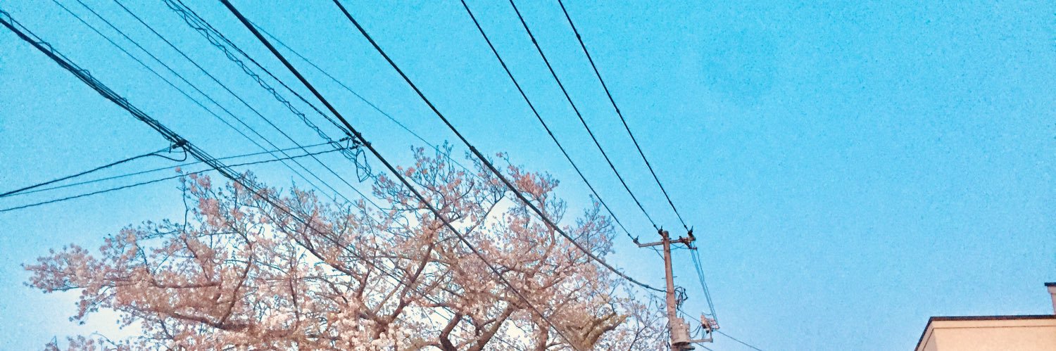 kotonohamemo's profile banner image