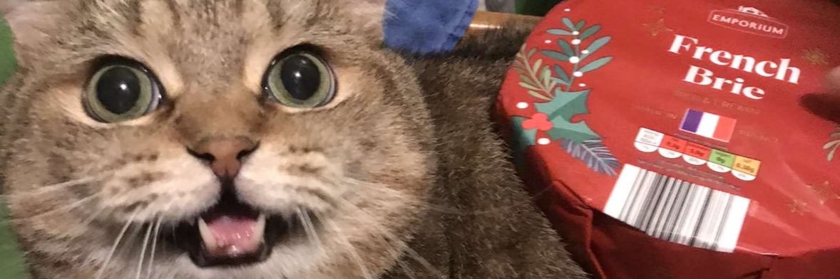 BrenditoBurrito's profile banner image