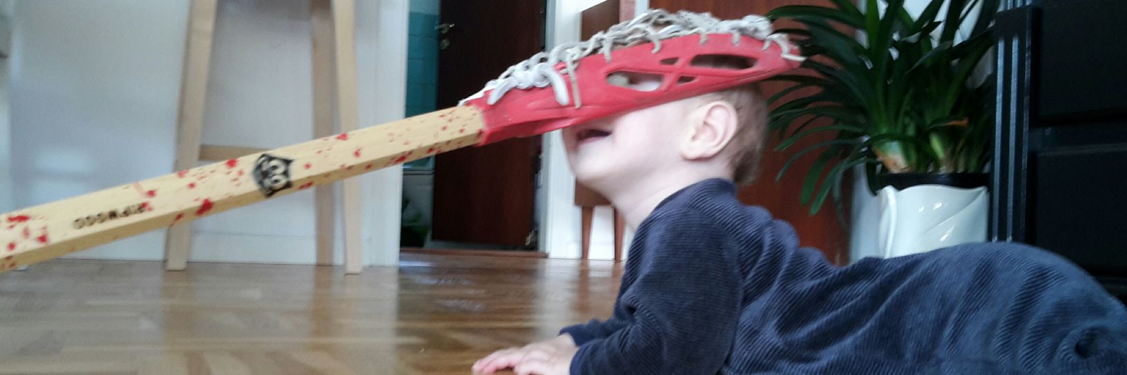 James Robertson banner