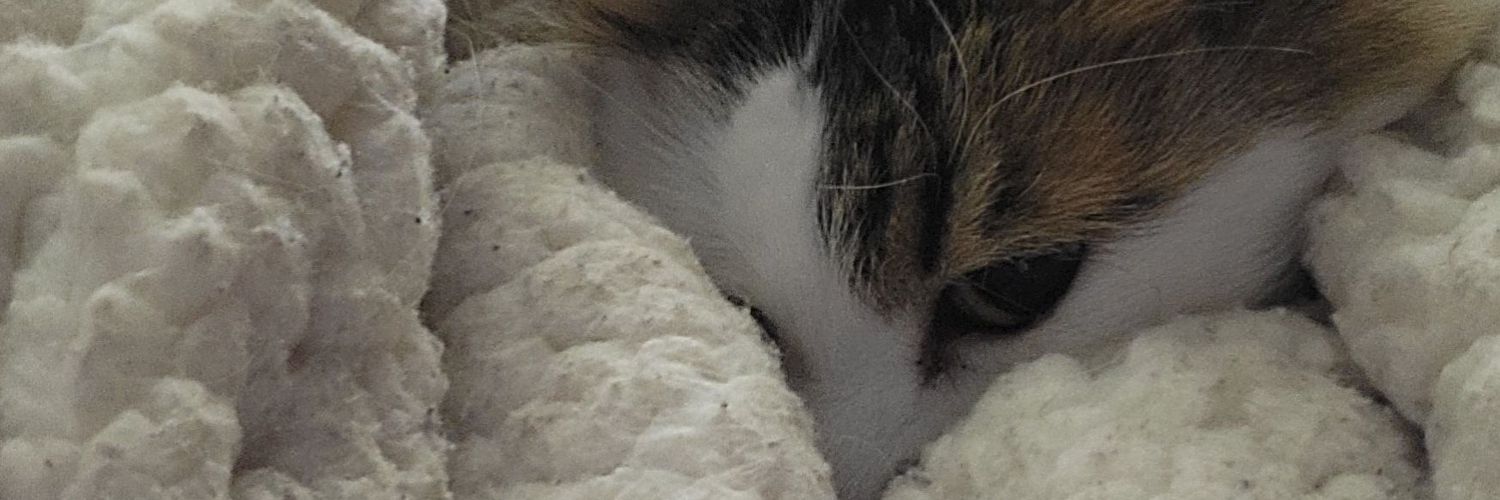 jbarrett1313's profile banner image