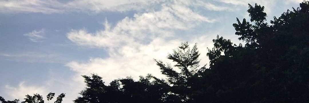 Dhitajlnt's profile banner image