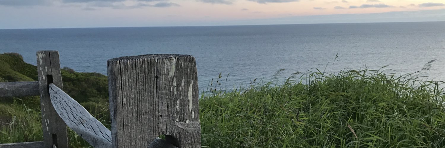 Will Webberley banner