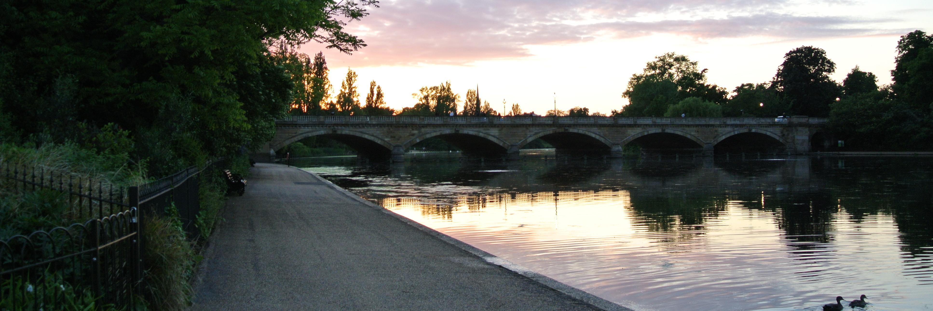 Allison Mills banner