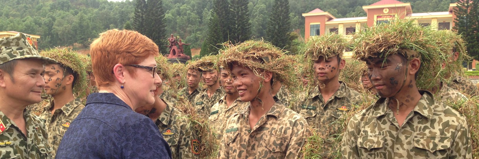 Brendan Nicholson banner