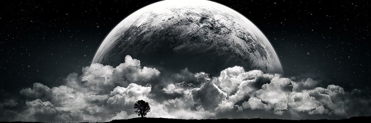 AknnGull's profile banner image
