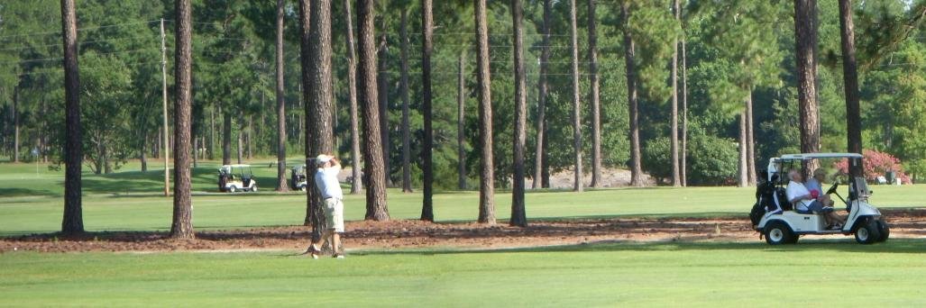 Scott Firenza ⛳ banner