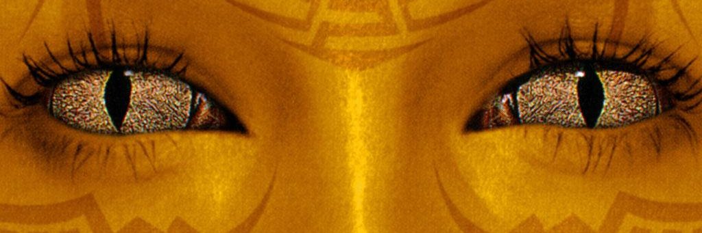 lirkavas's profile banner image