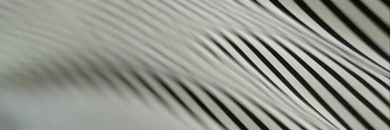 Zachary Dillon banner