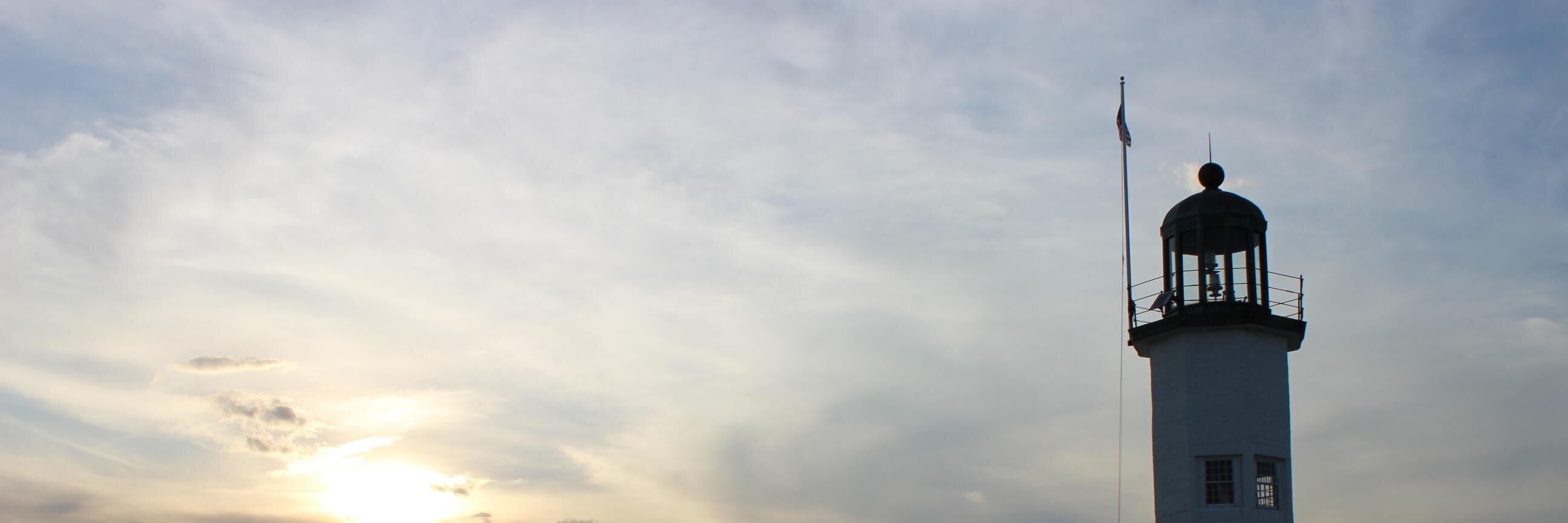 thlyons's profile banner image