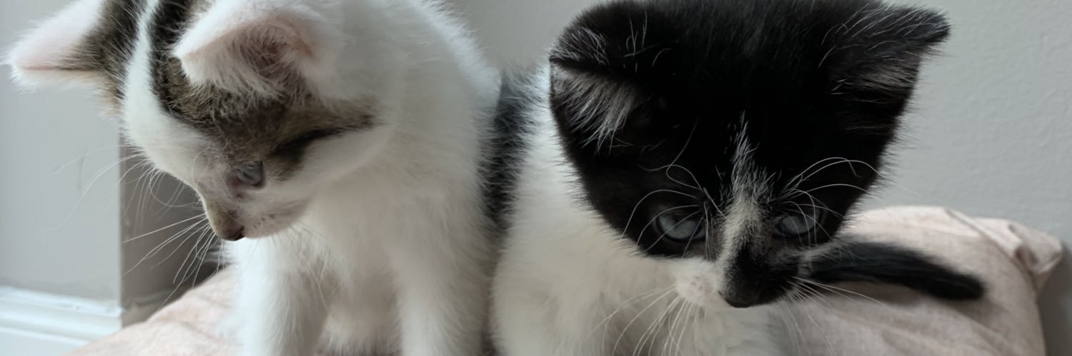 EmmaIBrown's profile banner image