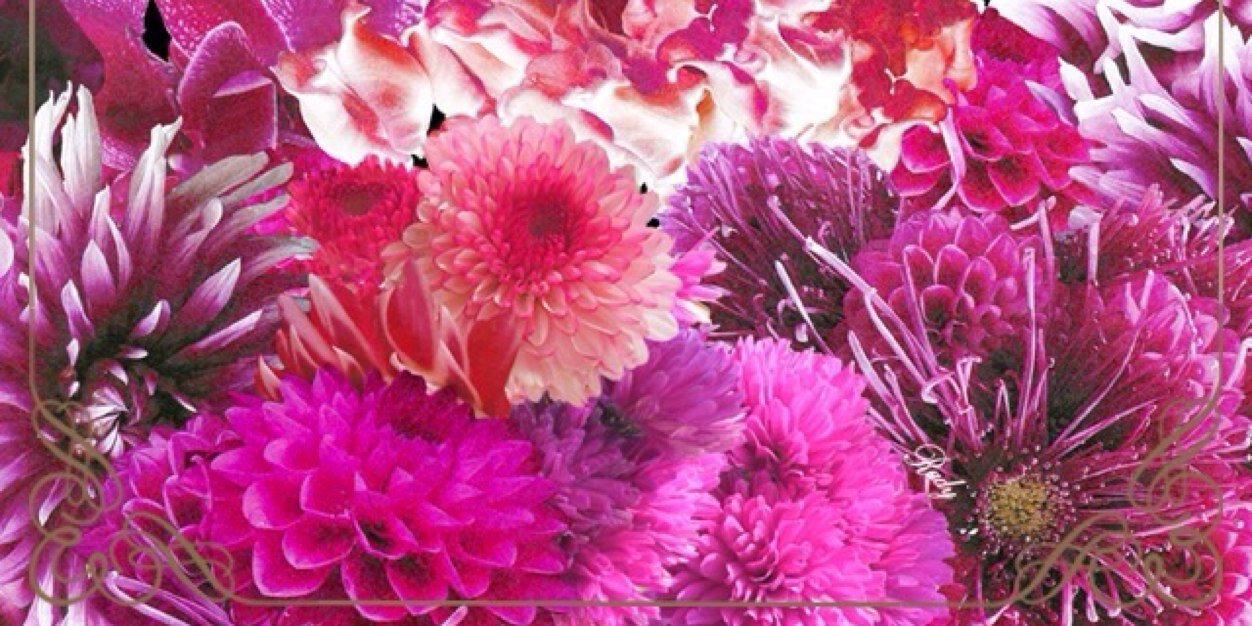 shotan0722's profile banner image