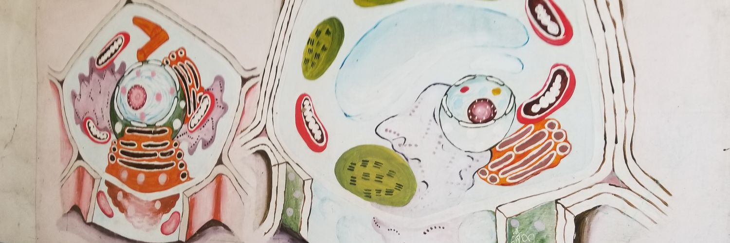 hammerfuzz's profile banner image