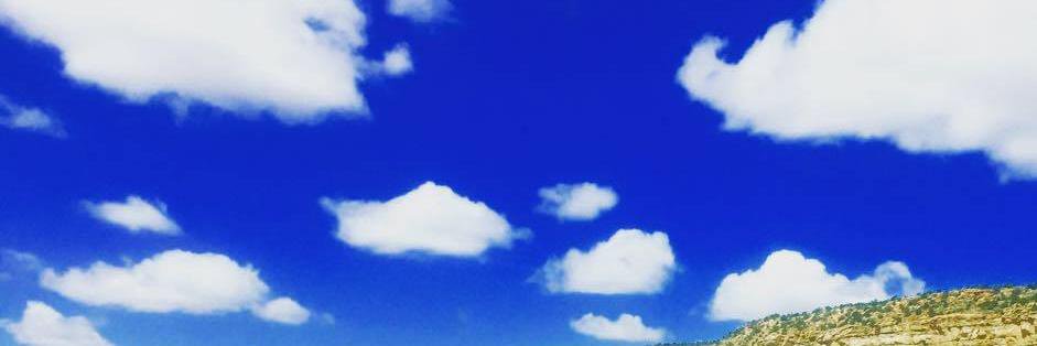 Luci Kolb banner