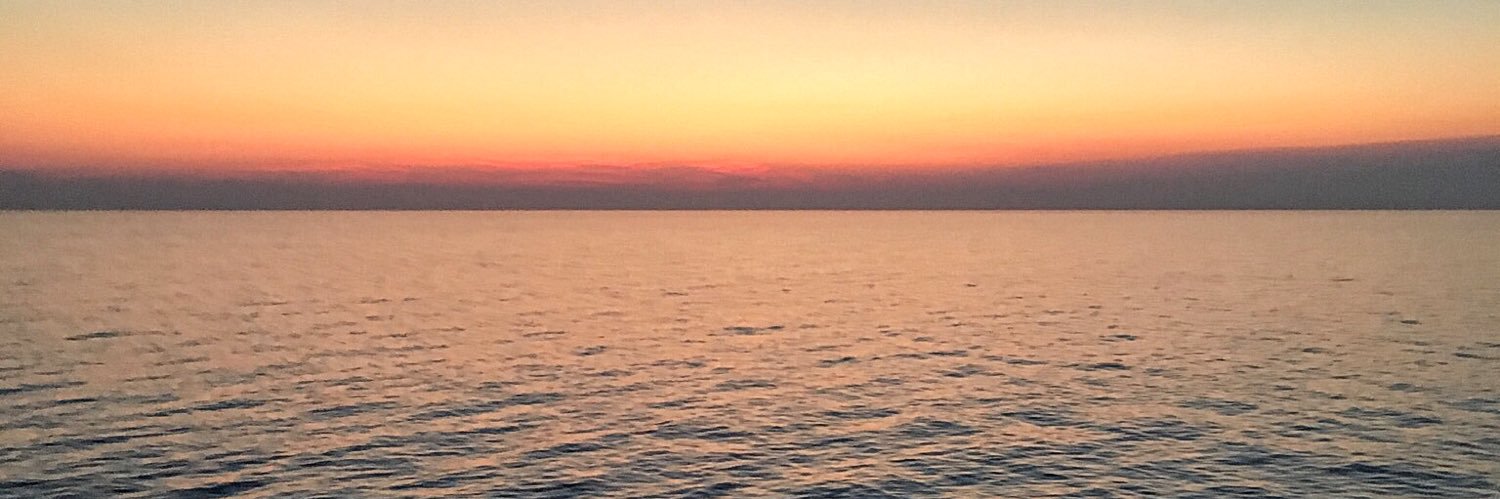 Ross Wilkinson banner