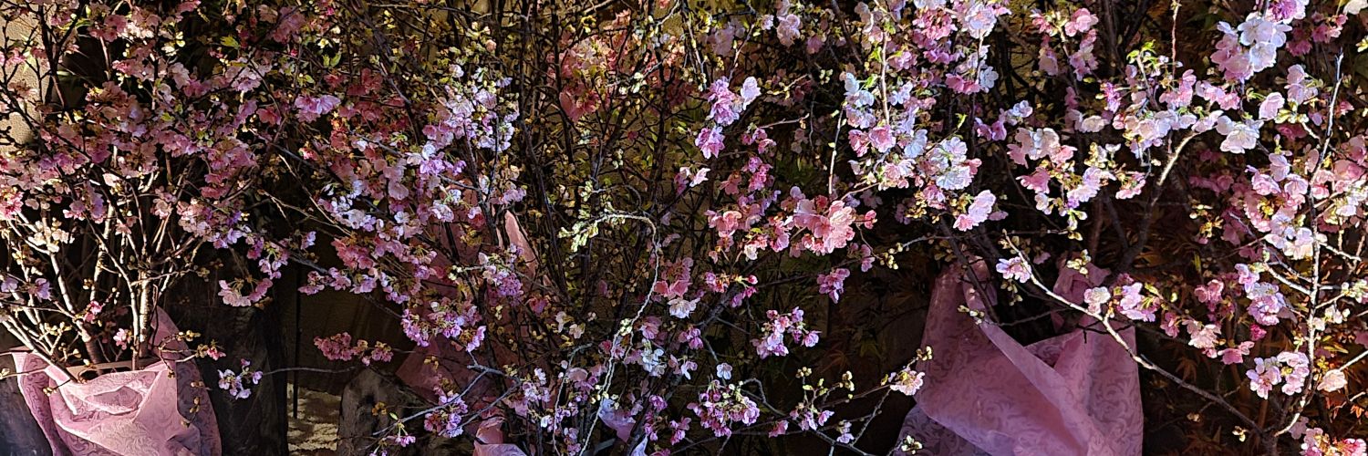 dsy0819's profile banner image