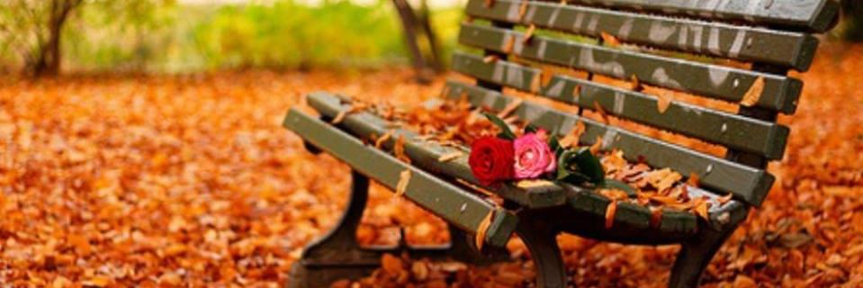 imenbadreddine's profile banner image