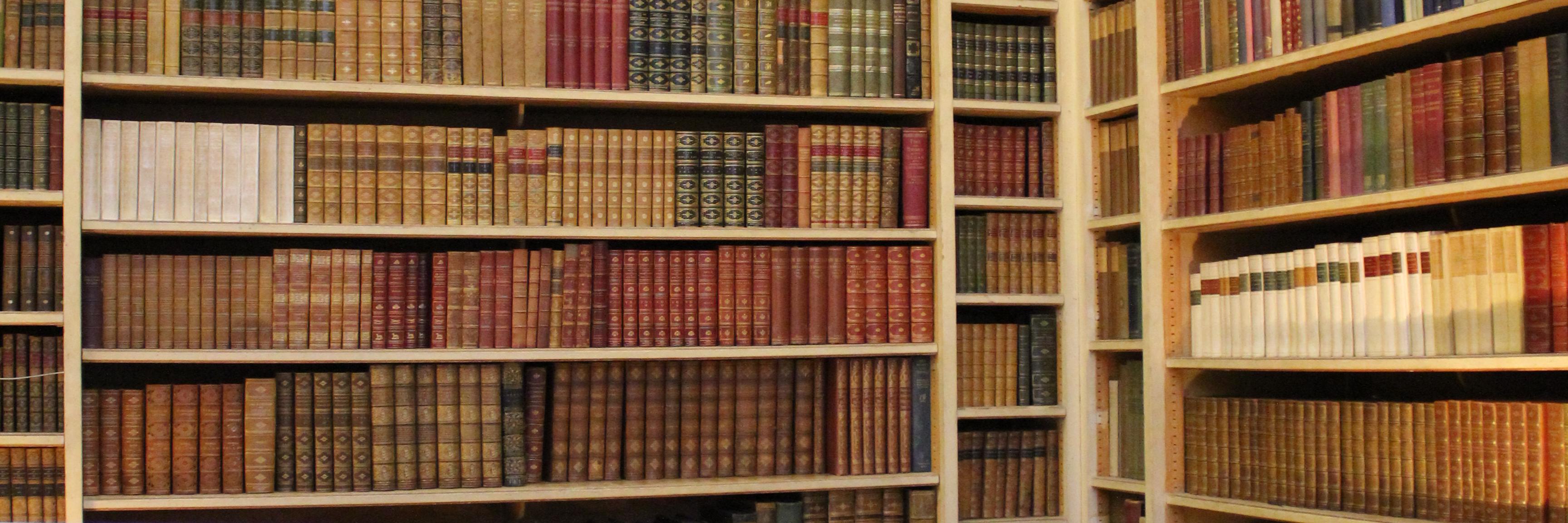 Sarah_Allan's profile banner image