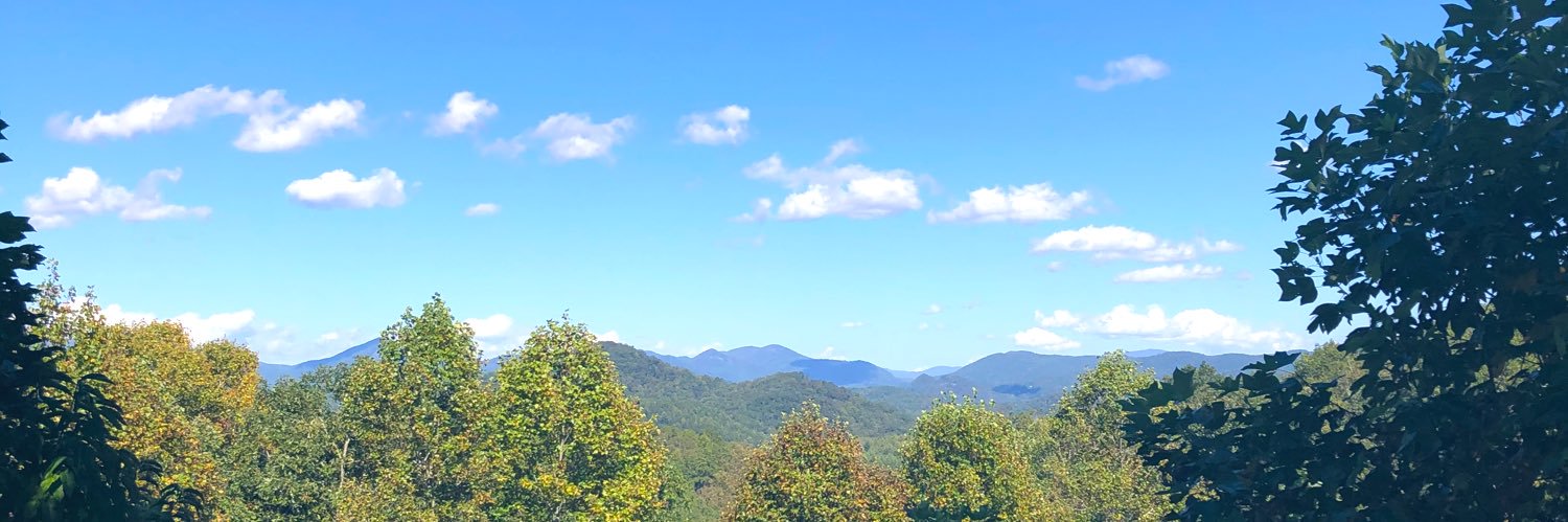 GaPeach291's profile banner image