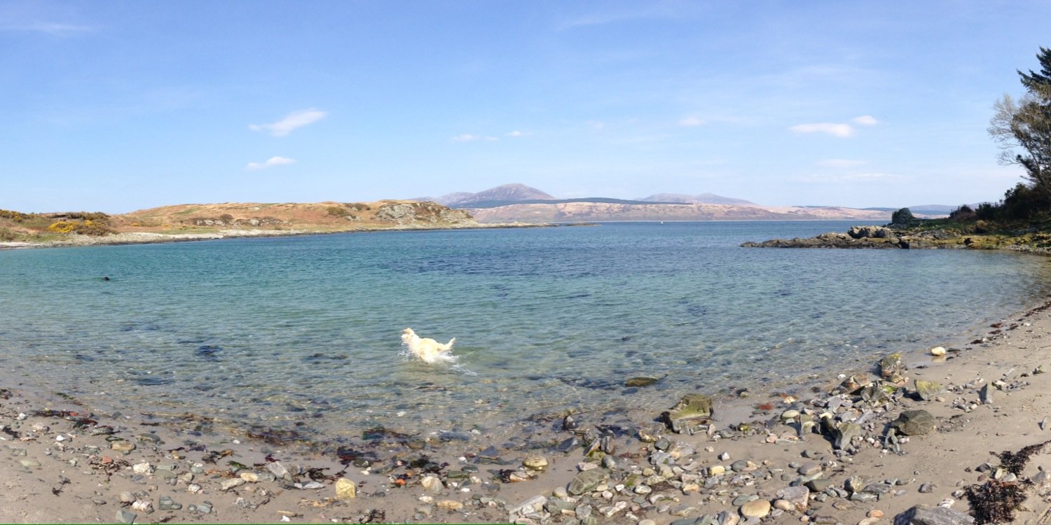 Matthew Cordiner banner