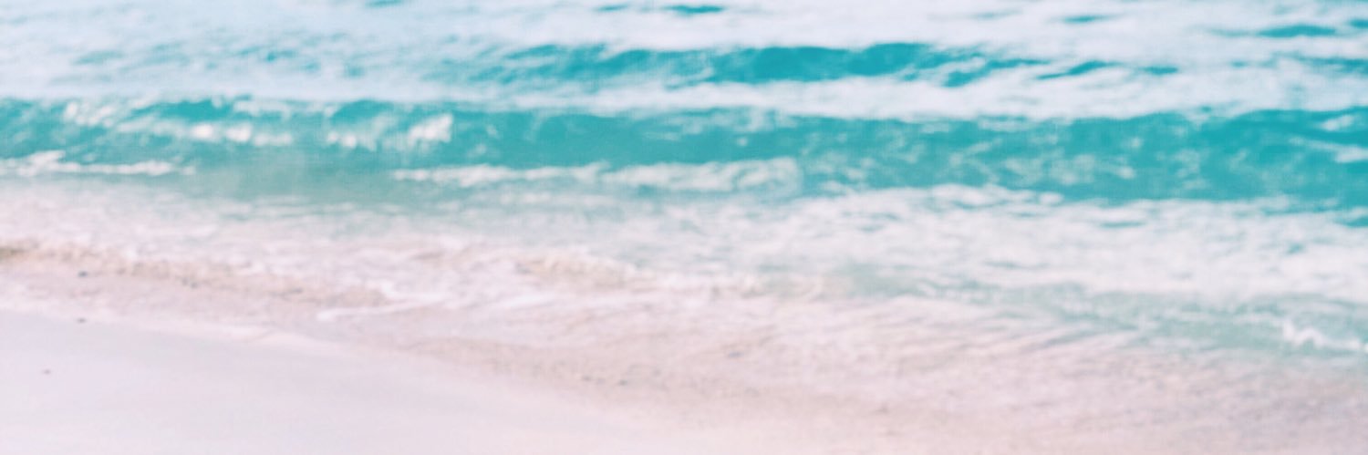 camilaech19's profile banner image
