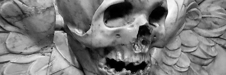 Suuz 🌙 banner