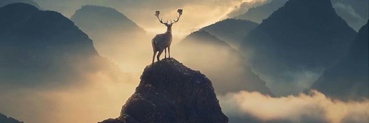 RahmanSahito13's profile banner image