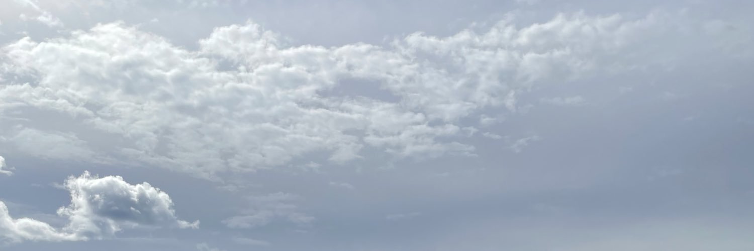 SiniGahmberg's profile banner image
