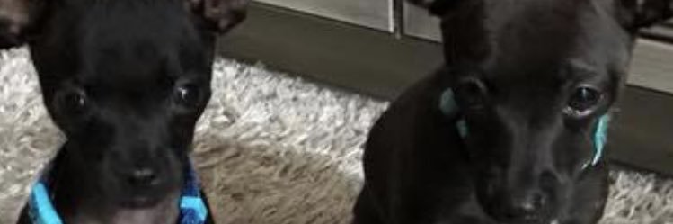 philkosinski's profile banner image