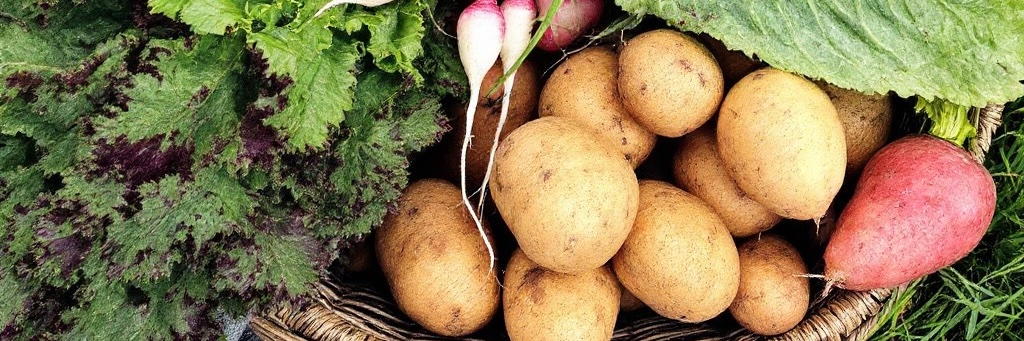 Good Food Ireland® banner