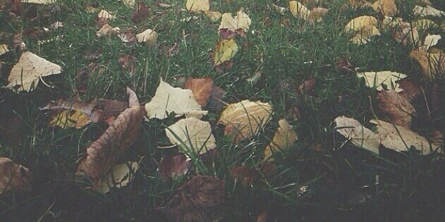 Faisall_ll's profile banner image