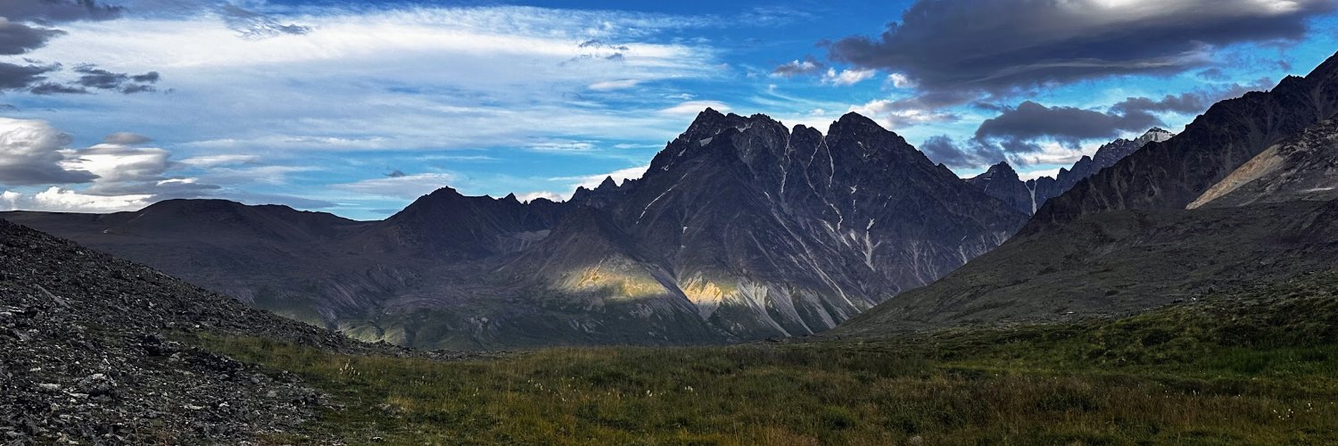 Simon Fuchs (🦊) banner