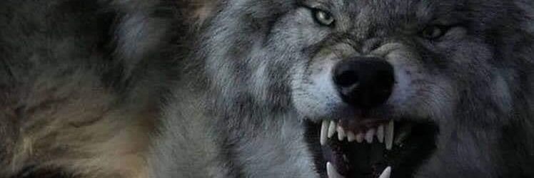 1071izmir's profile banner image