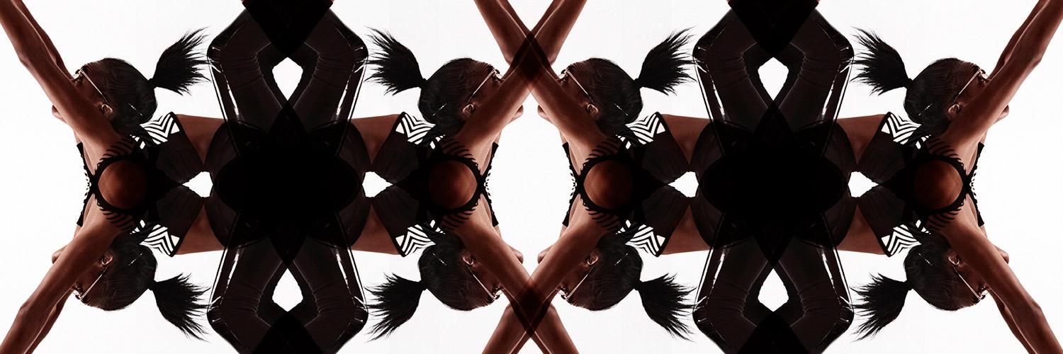 ANIMAL FEELINGS banner