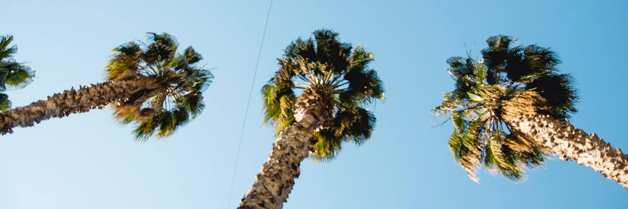 mitchellkaylie7's profile banner image