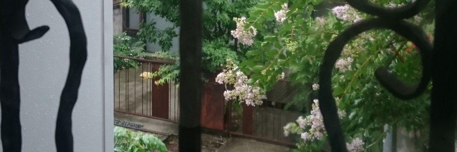 dotdottp's profile banner image