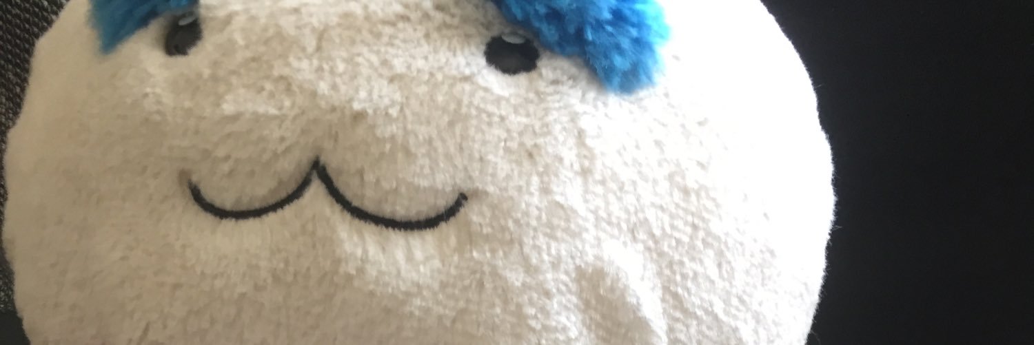 Pashaslr's profile banner image