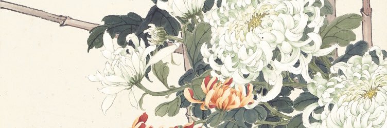 Will Dudley banner