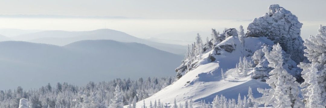 asavr's profile banner image