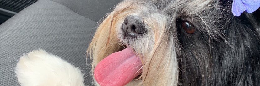 Jpezinh's profile banner image