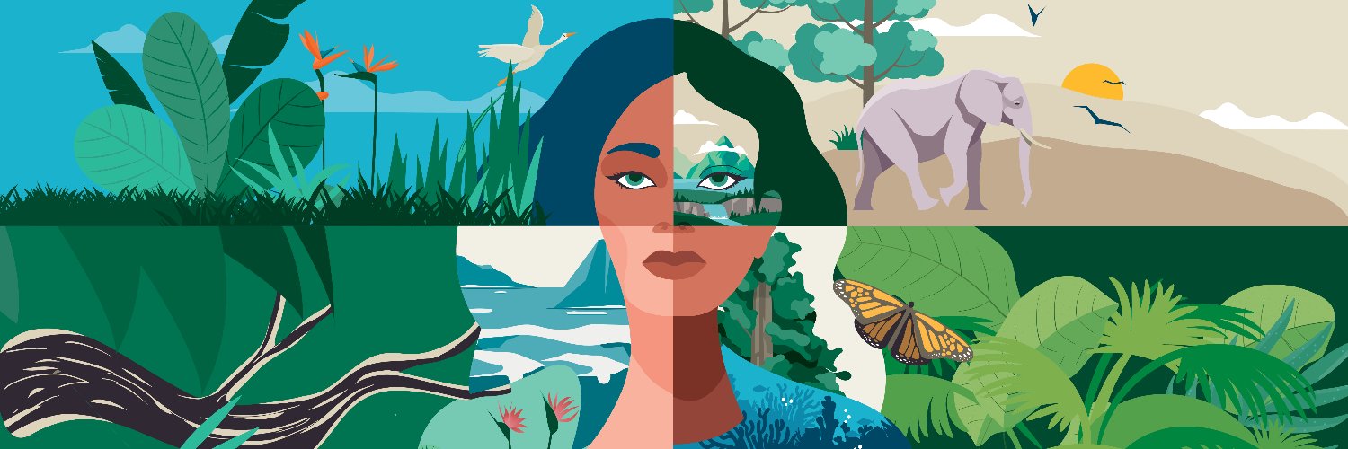 unescobangkok's profile banner image