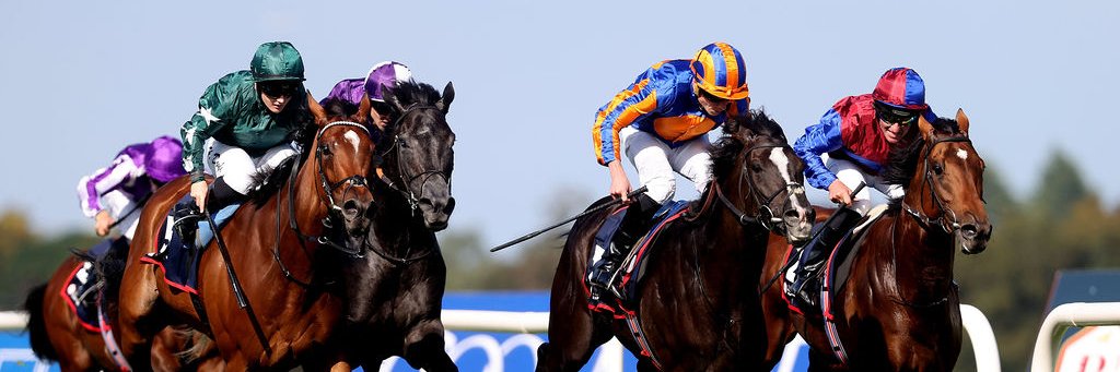 Leopardstown RC banner