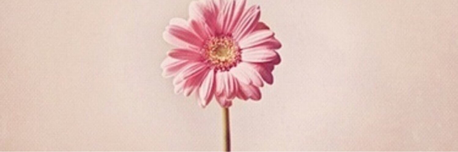 snoopy__0625's profile banner image