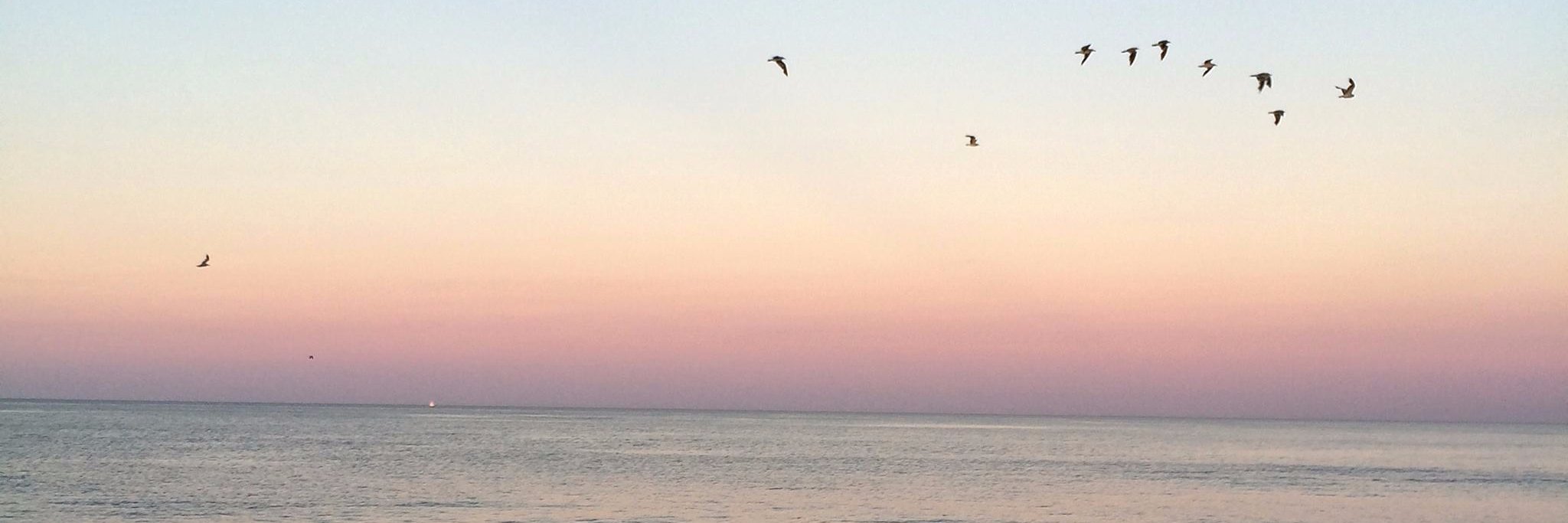 Sandhya Kambhampati banner