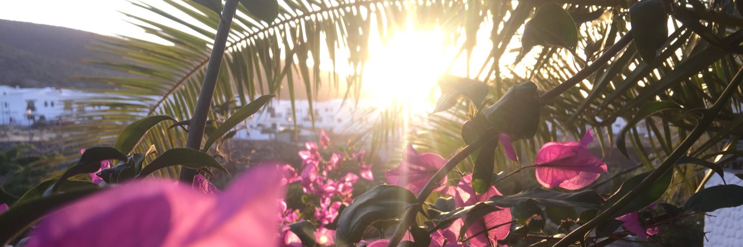 anusquigl's profile banner image