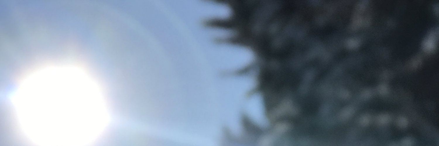_Sania_Odba_'s profile banner image