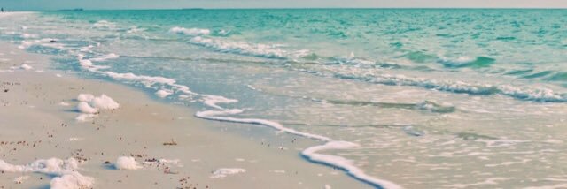 Manon_79's profile banner image