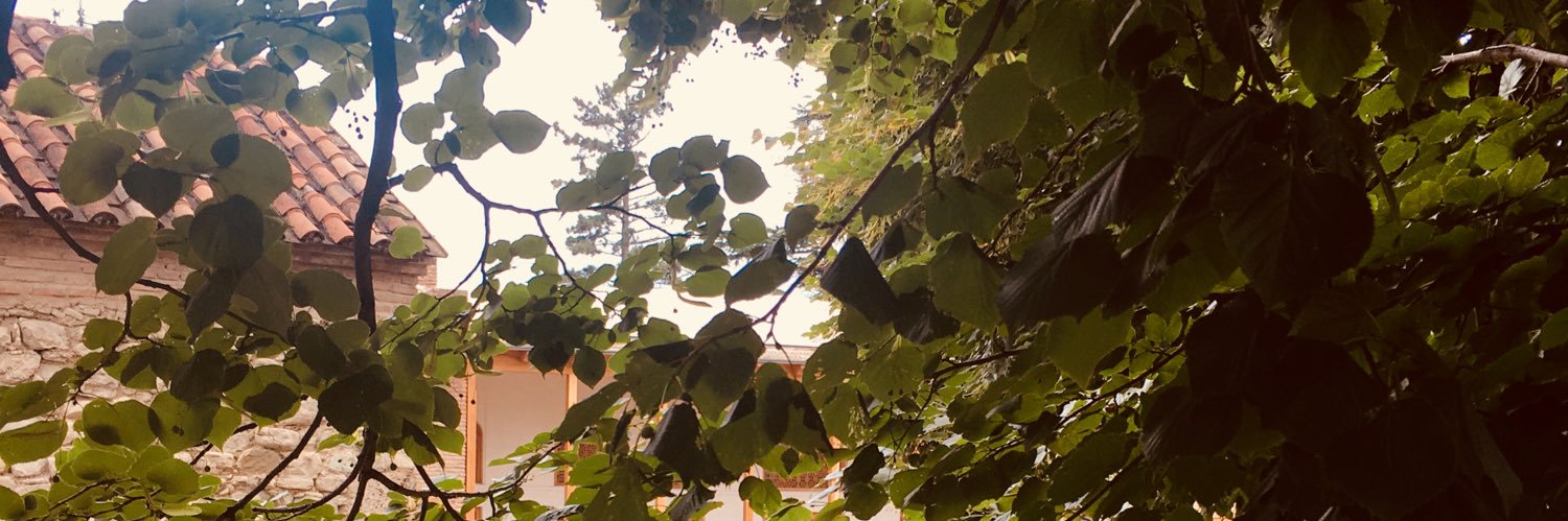 Ninitsint's profile banner image